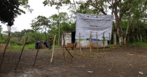 Comunidad de Dehesa, en Veracruz. Foto: Blog Expediente