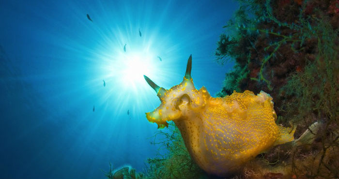 Foto: HuffingtonPost