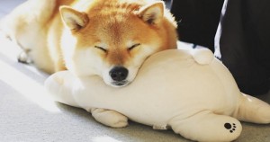 Foto: Instagram, Shinjiro Ono