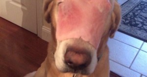 Foto: Twitter vía @DylanLuke19