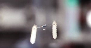 levitación de objetos a través del sonido. Foto: Especial