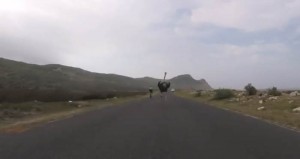 Foto: Captura de pantalla