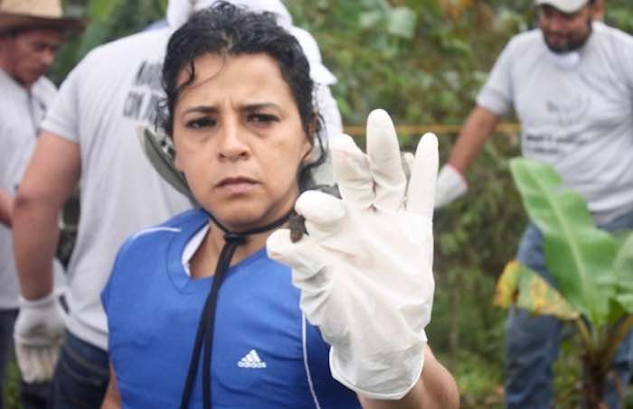 Buscadores han hallado restos óseos, pero la Fiscalía de Veracruz ha descartado que sean de humanos. Foto: BlogExpediente 