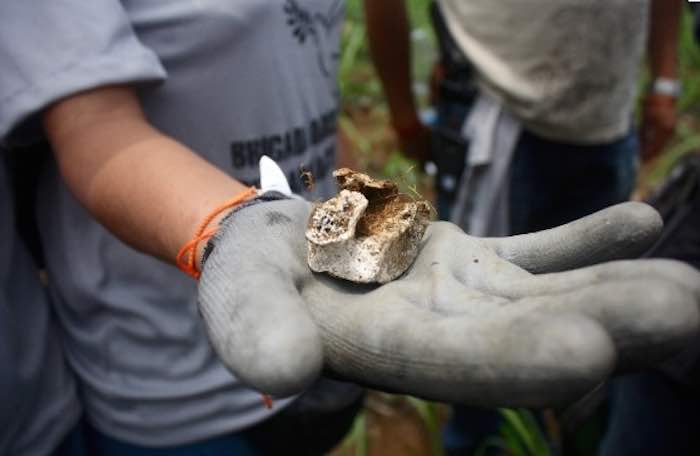 Pedazos de madera y restos animales, dice la Fiscalía de Veracruz que son los restos hallados por los buscadores en Amatlán, Veracruz. Foto: BlogExpediente