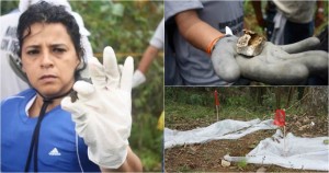 La Brigada civil de Veracruz halla restos; es madera y tela, responde la Fiscalía en horas