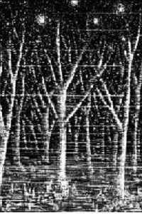 Mi taza de té. Dror Burstein. Editorial: LEETRA