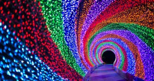 Aunque los usuarios han recibido con interés el desarrollo del Li-Fi como alternativa al Wi-Fi para el acceso a internet, sus aplicaciones van mucho más allá, ofreciendo nuevas experiencias de comunicación hasta ahora inexistentes. Foto: archivo