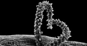 Este libro sugiere que el nuevo viaje sea hacia el interior, pues está concebido en la meditación