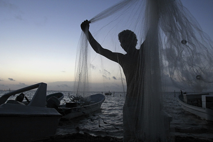 La pesca fantasma mata a 136 mil focas, leones marinos y ballenas al año. Foto: Cuartoscuro.