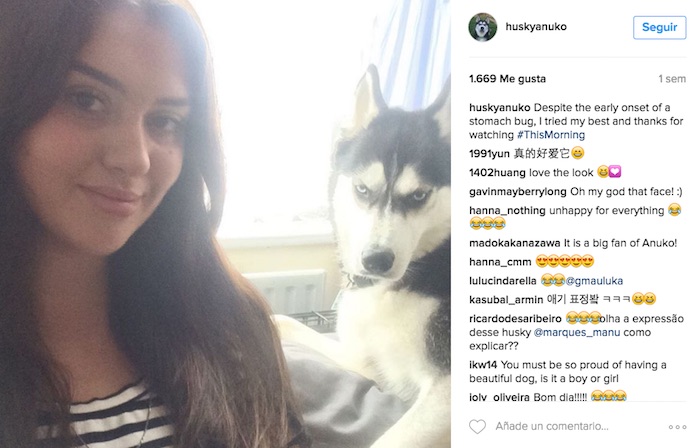 Foto: Instagram vía huskyanuko