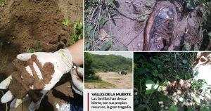 Cárteles hicieron de Orizaba un “corredor de la muerte” durante el gobierno de Javier Duarte