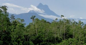 ¿Te imaginas subir el mágico Pico da Neblina de Brasil de la mano de chamanes?