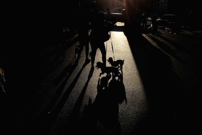 Una mujer y sus perros participan en una marcha de protesta para llamar la atención sobre el creciente número de abandono de animales y para pedir que baje el precio de la comida para mascotas. Foto: AP