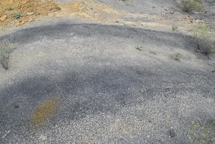 Foto: Costesía de Página8