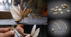 Los insectos inundan las redes sociales japonesas: buenos, bonitos y de bambú