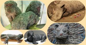 Las sorprendentes esculturas de papel expuestas en museos de Estados Unidos