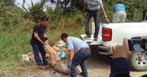 En 2016, hubo más de 40 ejecutados en Las Choapas, entre ellos varios menores de edad, producto de esta guerra entre bandas de la delincuencia organizada que se extiende por todo el sureste mexicano. Foto: BlogExpediente