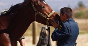 Para los investigadores, la abundante cantidad de genes con mutaciones adaptativas relacionados con la cresta neural "sugiere" su importancia en la domesticación. Foto: Cuartoscuro. 