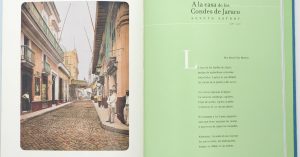 Hay quienes se atan en un pacto de amor con el gran espíritu de la isla cubana, dejan que penetre ella toda en su cuerpo y devienen urbe sobrenatural. Foto: RAM