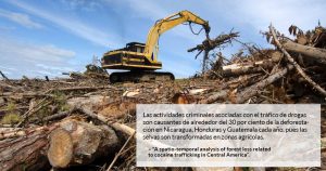El narco está depredando hasta los bosques en Centroamérica, dice un estudio de ambientalistas
