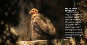 ¿CdMx sin zoológicos? Diputados y animalistas quieren devolver la libertad a los animales cautivos