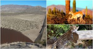 Con la construcción del muro varias especies se pondrían en peligro. Foto: Cuartoscuro/EFE