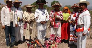 Algunas personas que no pertenecen al pueblo wirrarika se visten con su ropa tradicional y roban peyote de Real de Catorce. Foto: Pulso.