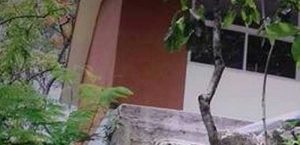 El salón lleva un año sin usar porque temen por la seguridad de los niños. Foto: Pulso.