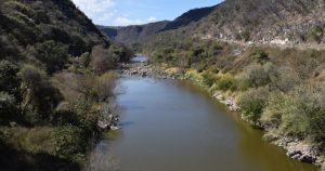 Varias especies  endémicas de México están en riesgo. Foto: EFE