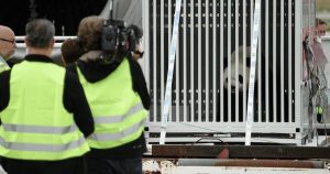 Los dos animales serán presentados públicamente el próximo 5 de julio. Foto: EFE. 