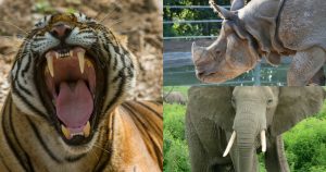 La investigación, que se desarrolló entre diciembre de 2016 y abril de este año, permitió identificar 21 anuncios de este tipo y concluir que la mayor parte de las transacciones se realizaron en criptomonedas como el bitcoin. Foto: Especial. 