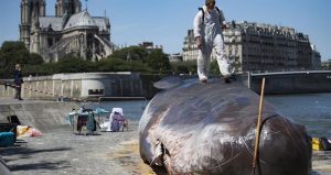 Activistas encallan una "ballena" en el Río Sena, París, como protesta por el cambio climático (VIDEO)