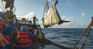 El cetáceo fue liberado a unos 225 kilómetros (140 millas) de la costa oeste de la Florida, en un área conocida por servir de hábitat para ballenas piloto. Foto: EFE /SeaWorld