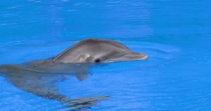 Foto: Pixabay/Ilustrativa 