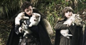 Los cachorros de lobo que lanzaron la venta de perros huskies. Foto: Especial vía Eldiario.es