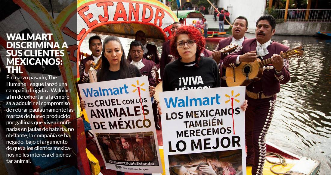 Walmart saca de Inglaterra, EU y Canadá huevo de ave maltratada; a los mexicanos sí se los venderá