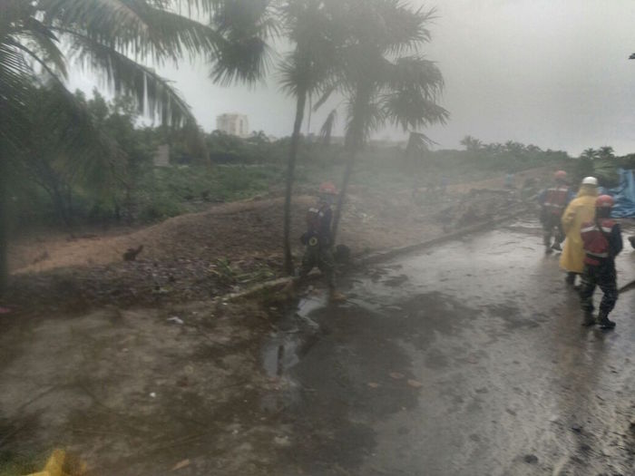 En Punta Nizuc, Quintana Roo, ya comenzaron los trabajos de desmonte de vegetación para dar paso a la construcción del Hotel Riviera Cancún, a pesar del daño ambiental que provocará. Fotos: Especial.