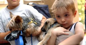 Es importante también tomar en cuenta y demostrar preocupación por la vida y seguridad de animales. Foto: Chema Moya, EFE