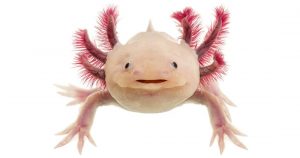 Imagen: Shutterstock