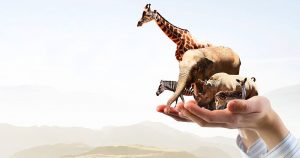 Las defensoras destacan los logros que se han obtenido en conjunto con los ciudadanos, pero aceptan, que aún hay mucho por hacer. Imagen: Shutterstock