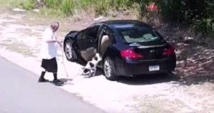 La perrita fue encontrada por los vecinos de la zona y llevada a un refugio de animales. Foto: Youtube