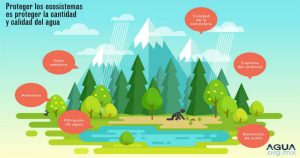 Aunque el agua tiene un ciclo, la actividad humana puede interferir en su calidad y cantidad. Imagen: Agua.org.mx