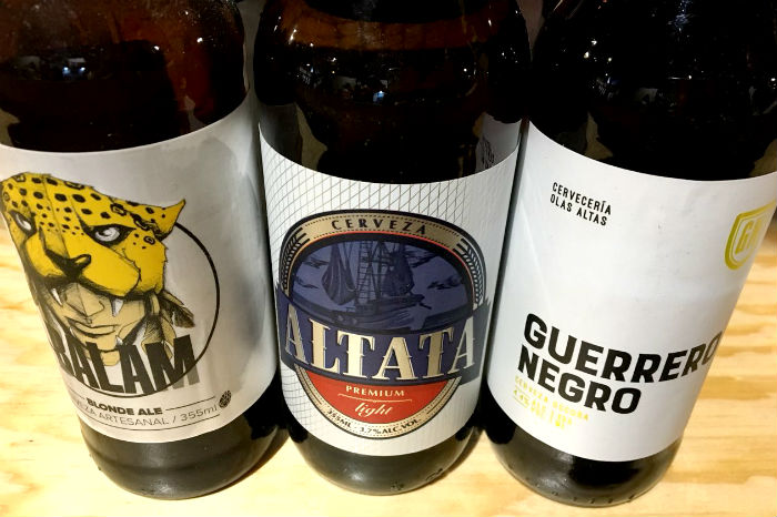 Las representantes de Olas Altas, de Culiacán, Sinalo. Foto: Daniela Medina, SinEmbargo