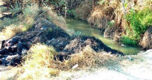Los restos fueron localizados junto al canal de aguas negras. Foto: Pulso