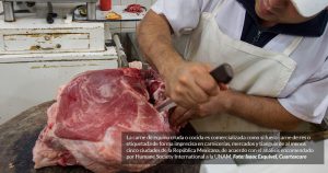 México come carne de caballo, y lo peor: tiene químicos que ponen en riesgo la salud, alerta estudio