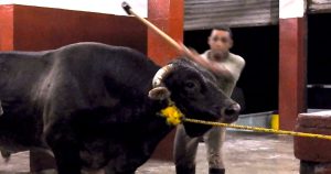 Alfaro llama a mandar una carta al Senado para presionar la aprobación de la ley. Imagen: Mercy For Animals