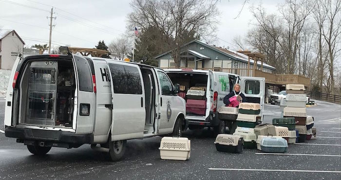 Los empleados de la organización acudieron al domicilio con ropa protectora para recoger a los gatos. Foto: Twitter/@wsyx6
