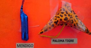 El niño metió el cohete en la bolsa de su chamarra hecha de material sintético; minutos después se generó una chispa que provocó la explosión cuando el afectado metió la mano en la prenda de vestir. Foto: Pulso