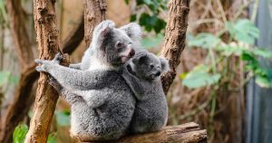 Foto: Ilustrativa, Pixabay