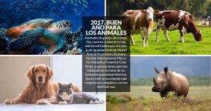 ONGs y voluntarios redoblan en 2017 la lucha por los animales y contra quienes los martirizan
